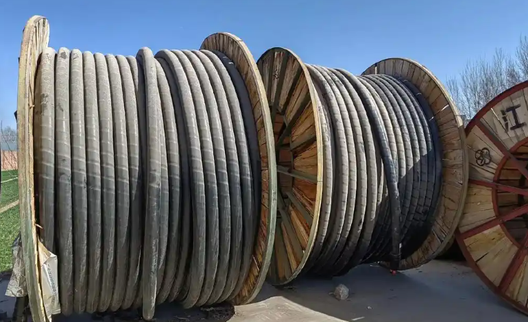 济南亚星官网yaxin868的信息获取与传播